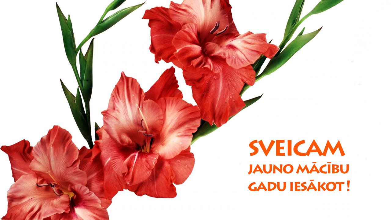 SVEICAM, JAUNO MĀCĪBU GADU IESĀKOT!